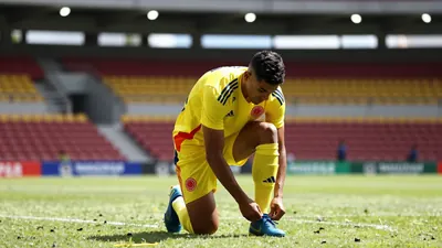 La Selección Colombia regresa al Estadio Pascual Guerrero tras más de 30 años para un partido amistoso contra Chile...